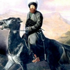 Erkan Can, Muş