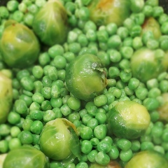 Оксана Никитина