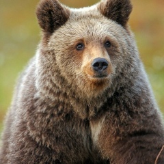 Михаил Парпин, 20.12, Санкт-Петербург