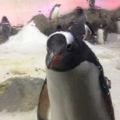 Леночка Береза, 29.01, Днепр (Днепропетровск)