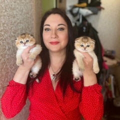 Анна Ковалева, Санкт-Петербург