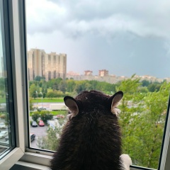 Юлия Julika, 09.05, Санкт-Петербург