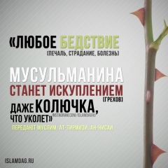 Хашим Джаватов, 22.01.1995, Махачкала