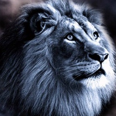 Евгений Polischuk, 09.08.1981, Екатеринбург