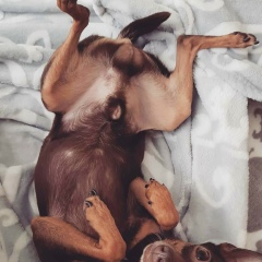 Ola Ola, 17.03, Таллин