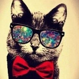 Nikita Ns, 16.01, Los Angeles