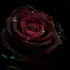 Madina Kaudinova, 29.10, Алматы