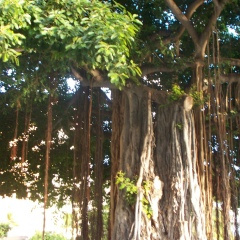 Салтанат Нуритдинова-Биктурова, 14.06, Магнитогорск