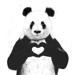 Балжан Байсеитова, 03.12.1988, Шымкент