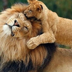 Наташа Макаренко, 05.06, Киев