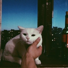 Катя Сафронова, 06.06.1993, Москва