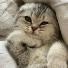 Ксения Григ, 31.08.1984