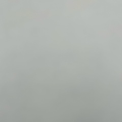 Андрей Айгинин, Abu Dhabi