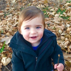 Alias Brandziya, 26.12