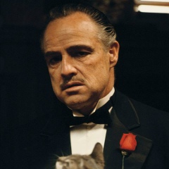 Артём Толмачёв, 20.01.1990, Алматы