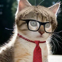 Alisher Tyrsunov, 26.03, Алматы