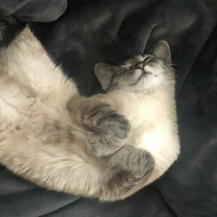 Юлия Журок, 14.08, Riverhead