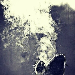 Zhora Mukhsikhchoyan, Нижний Новгород