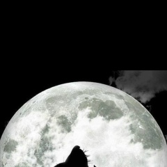 Мансур Даудов, 08.04.1992, Грозный