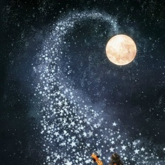 Анастасия Александровна, 26.05.1988, Санкт-Петербург