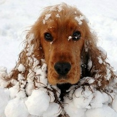 Ellina Abramova, 29.10, Луганск