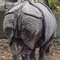 Михаил Михайлов, 10.10.1981, Калининград