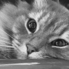 Марина Шустик, 23.04, Подольск