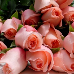 Татьяна Татьянина, 05.06