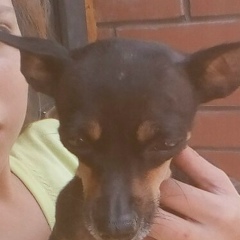 Кристина Мирная