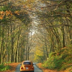 Ольга Курбанова, 04.08.1983, Екатеринбург