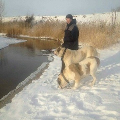 Азамат Шонтыков, 24.05, Актобе
