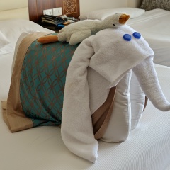 Антон Картавый, Москва