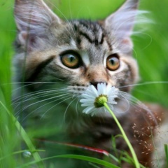 Никита Астахов, 13.10.1984, Озерск