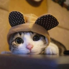 Ник Мордвин, 22.04