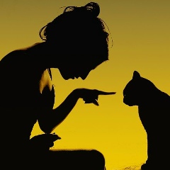 Анастасия Стасова, 16.04, Санкт-Петербург