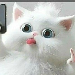 Надежда Бабалэу, Смоленск