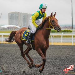 Дарья Ухванова, 17.09.1988, Нурлат