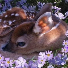 Мария Кокурина, 05.07, Москва