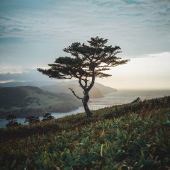 Konstantin Golynov, 18.09, Москва