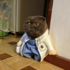 Илья Морозов, 18.05, Санкт-Петербург