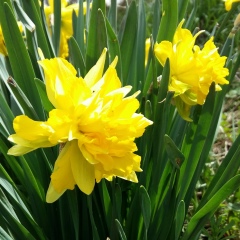 Нина Владимирова, 07.08, Алматы