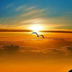 Денис Игоревич, Москва