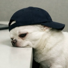 Чаян Оюн, 02.02