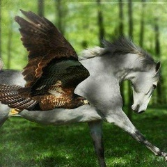 Саглай Буяновна, Чаа-Холь