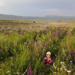 Балзия Бейсенгаликызы, 01.02, Tehran