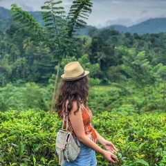 Milena Hayrapetyan, 14.09, Ереван