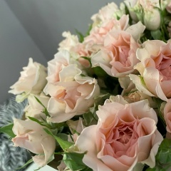 Екатерина Яблокова, 21.01, Санкт-Петербург