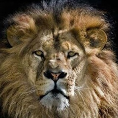 Ахма Амерханов, 09.08.1989, Москва