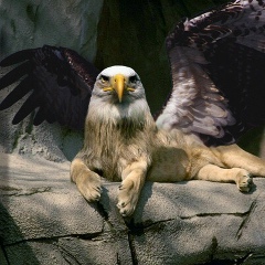 Антон Кокшаров, 08.08, Санкт-Петербург