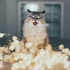 Евгений Генералов, 15.05.1995, Екатеринбург